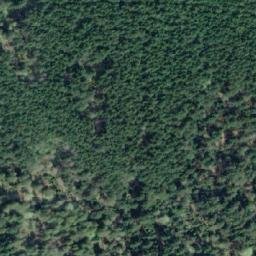 Satellite imagery of Ashworth Point, CA