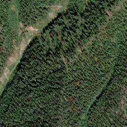 Satellite imagery of Grey Wolf Mountain, CA