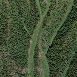 Satellite imagery of Grey Wolf Mountain, CA