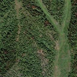 Satellite imagery of Grey Wolf Mountain, CA
