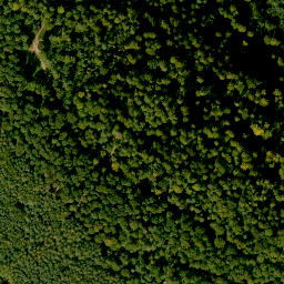 Satellite imagery of Römmelberg, DE