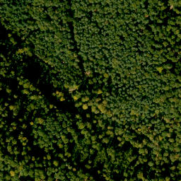 Satellite imagery of Römmelberg, DE