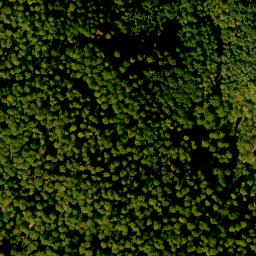 Satellite imagery of Römmelberg, DE