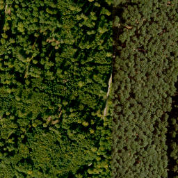 Satellite imagery of Schwarzer Rück, DE