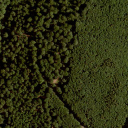 Satellite imagery of Schwarzer Rück, DE