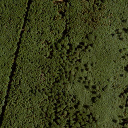 Satellite imagery of Schwarzer Rück, DE