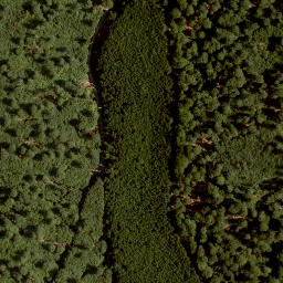 Satellite imagery of Gaulberg, DE