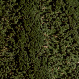 Satellite imagery of Gaulberg, DE