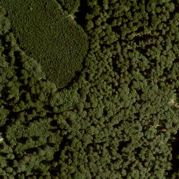 Satellite imagery of Gaulberg, DE