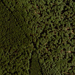 Satellite imagery of Forst Lohrerstraße-Lohr am Main-Neustadt am Main, FR