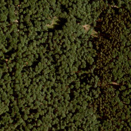 Satellite imagery of Forst Lohrerstraße-Lohr am Main-Neustadt am Main, FR