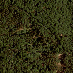 Satellite imagery of Forst Lohrerstraße-Lohr am Main-Neustadt am Main, FR