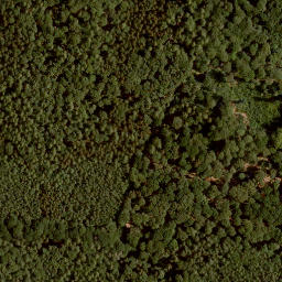 Satellite imagery of Platte, DE