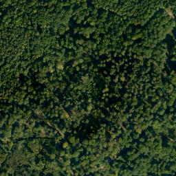 Satellite imagery of Semberg, DE