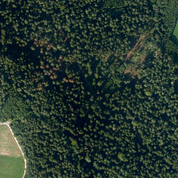 Satellite imagery of Horlachen, DE