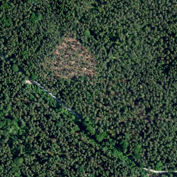 Satellite imagery of Püchnerjagen, DE