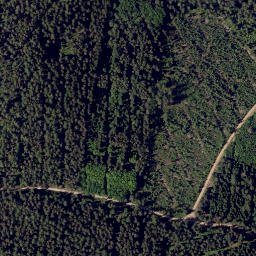 Satellite imagery of Bienhöhe, DE