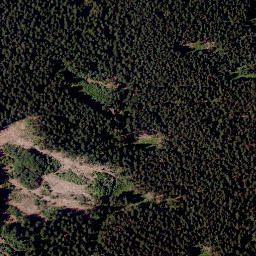 Satellite imagery of TP, CZ