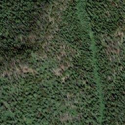Satellite imagery of Grey Wolf Mountain, CA
