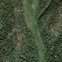 Satellite imagery of Grey Wolf Mountain, CA