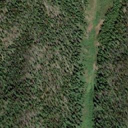 Satellite imagery of Grey Wolf Mountain, CA