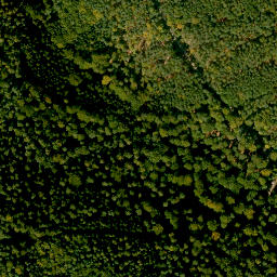 Satellite imagery of Birkenberg, DE