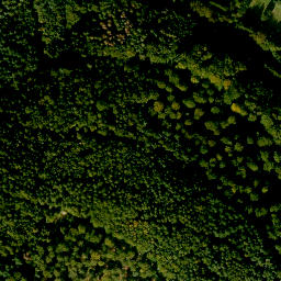 Satellite imagery of Birkenberg, DE