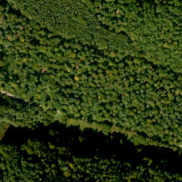 Satellite imagery of Römmelberg, DE