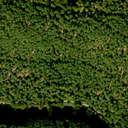 Satellite imagery of Römmelberg, DE