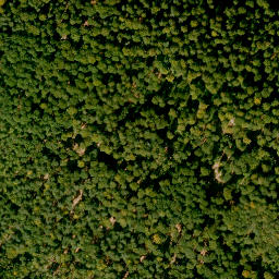 Satellite imagery of Römmelberg, DE