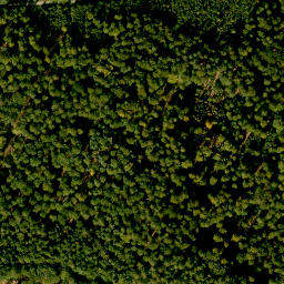 Satellite imagery of Dörnberg, DE