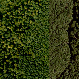 Satellite imagery of Schwarzer Rück, DE