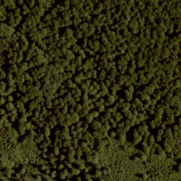 Satellite imagery of Kaulkopf, DE