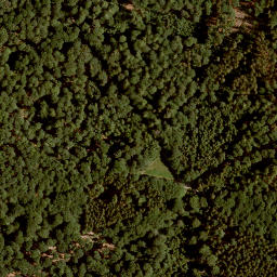 Satellite imagery of Forst Lohrerstraße-Lohr am Main-Neustadt am Main, FR