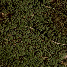 Satellite imagery of Forst Lohrerstraße-Lohr am Main-Neustadt am Main, FR