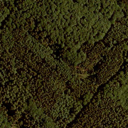 Satellite imagery of Steinener Bühl, DE