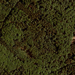 Satellite imagery of Steinener Bühl, DE