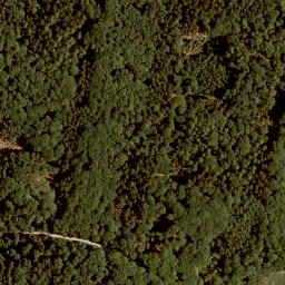 Satellite imagery of Steinener Bühl, DE