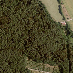 Satellite imagery of Schloss Rodenbach, DE