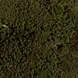 Satellite imagery of Platte, DE