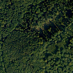 Satellite imagery of Semberg, DE