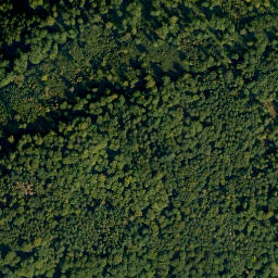 Satellite imagery of Semberg, DE