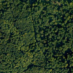 Satellite imagery of Semberg, DE