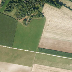 Satellite imagery of Wachhügel, DE