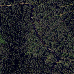 Satellite imagery of Bienhöhe, DE