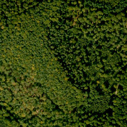 Satellite imagery of Birkenberg, DE