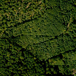 Satellite imagery of Birkenberg, DE