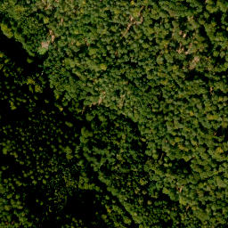 Satellite imagery of Römmelberg, DE