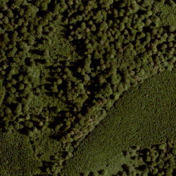 Satellite imagery of Kaulkopf, DE