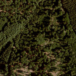 Satellite imagery of Forst Lohrerstraße-Lohr am Main-Neustadt am Main, FR